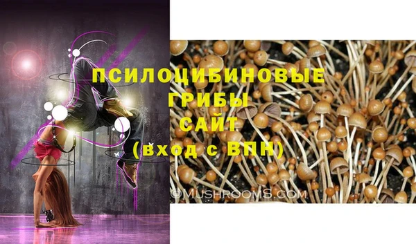 меф Богородицк