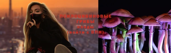 индика Белоозёрский