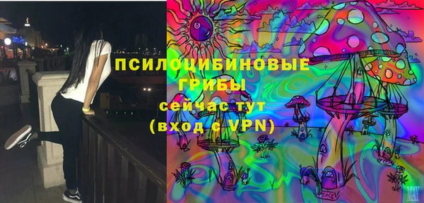 стафф Белокуриха