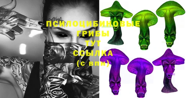меф Богородицк