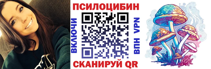 Псилоцибиновые грибы Psilocybine cubensis  Купить где  Вилюйск 